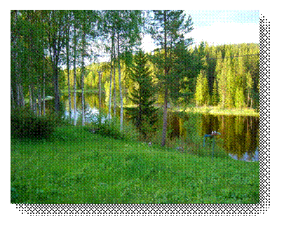 P1010124.JPG
